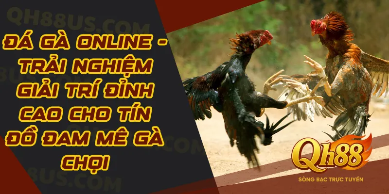 Đá Gà Online