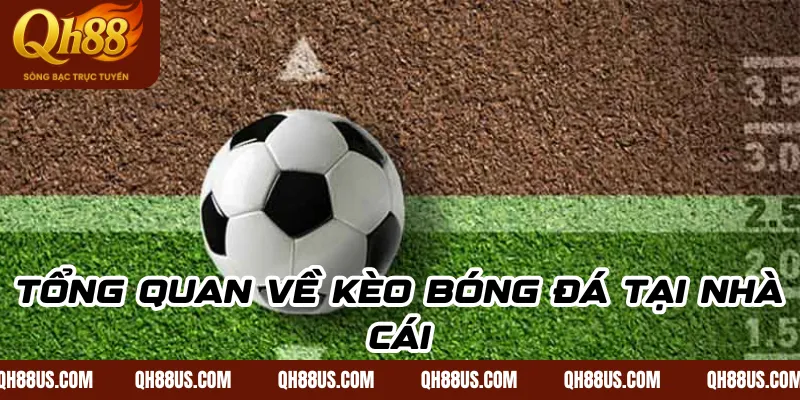 Tổng quan về kèo bóng đá tại nhà cái